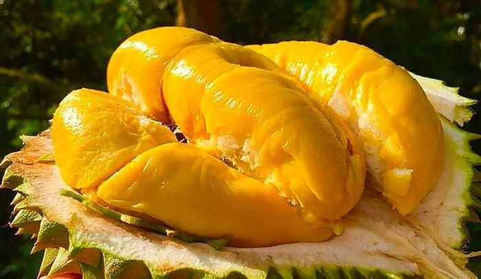 Một số nhóm người không phù hợp để ăn sầu riêng. Ảnh minh họa.