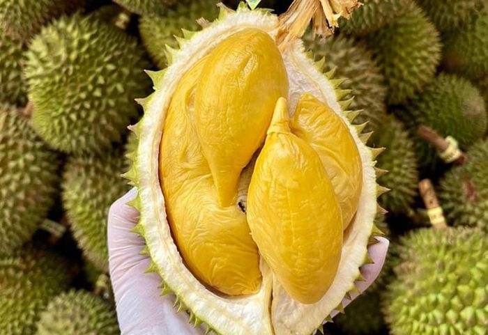 Sầu riêng chứa lượng calo lớn và có tính nóng. Ảnh minh họa.