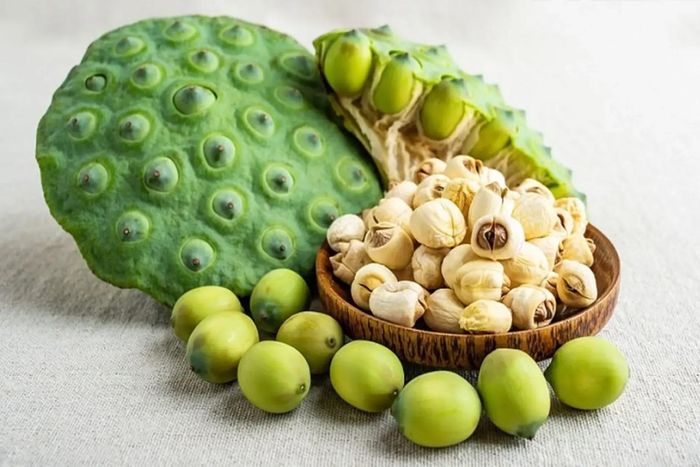 Việc sử dụng hạt sen, tâm sen có thể giúp cơ thể thư giãn và ngủ ngon hơn