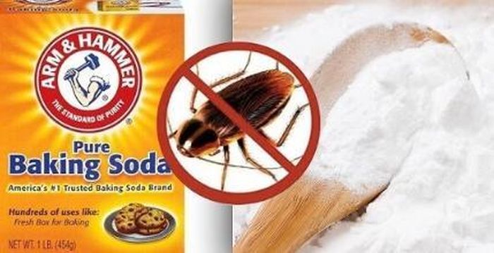 Bạn chỉ cần trộn đều đường và baking soda theo tỷ lệ 1:1 sau đó hòa tan với nước rồi cho vào một cốc nhỏ, đặt ở góc tủ quần áo.