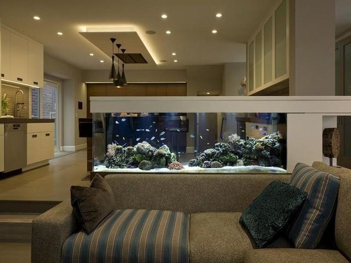 Không nên bố trí bể cá sau sofa. Ảnh minh họa