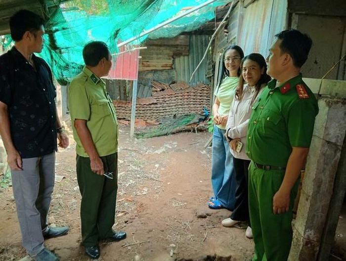 Công an phường Bình Thuận phối hợp tiếp nhận cá thể chim công quý hiếm do người dân tự nguyện giao nộp.