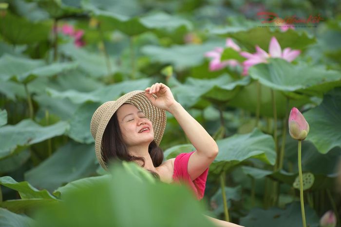 Những vị khách tận hưởng hương sen trong sương sớm.