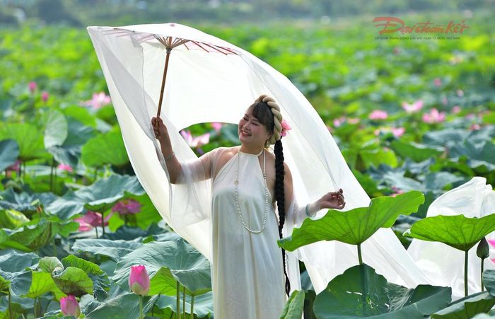 Một du khách đến đầm sen từ sớm để có được bộ ảnh kỷ niệm với sen.