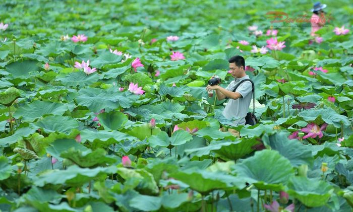 Ánh nắng nhẹ nhàng buổi bình minh giúp các tay máy có thêm điều kiện thuận lợi để sáng tạo những khuôn hình giàu cảm xúc.