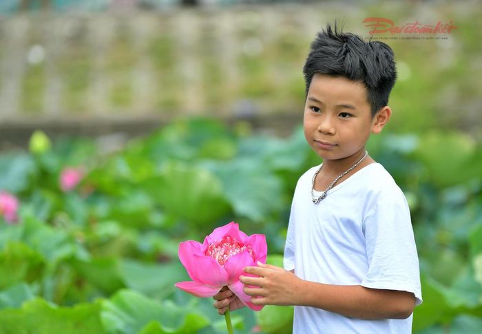 Em nhỏ tạo dáng với hoa sen trong sáng sớm.