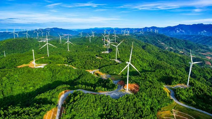 Thanh tra tỉnh kiến nghị tổ chức kiểm điểm, rút kinh nghiệm đối với tập thể, cá nhân liên quan.