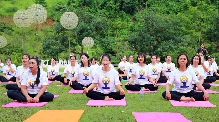 Ngày hội Quốc tế Yoga có chủ đề “Yoga - Sống khỏe theo năm tháng”