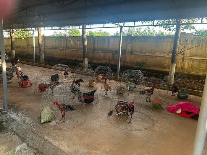 Tang vật thu giữ tại hiện trường