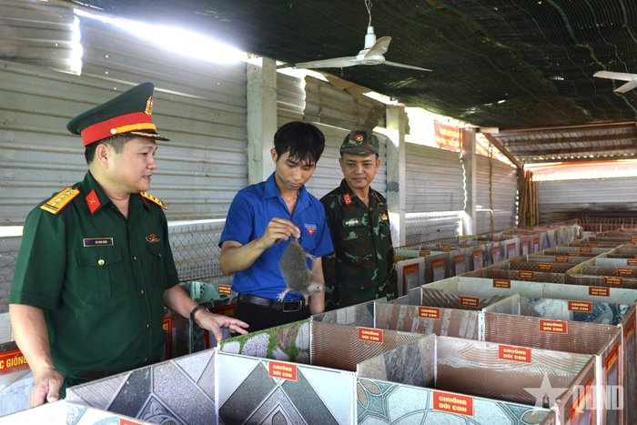 Lãnh đạo Đoàn Kinh tế - Quốc phòng 207 kiểm tra mô hình nuôi dúi giống tại trại giống của đơn vị.