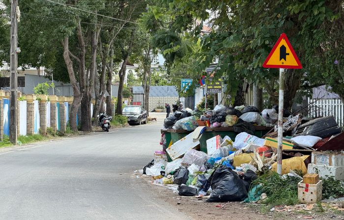  Rác chất đống trên đường Yersin, phía trước Trung tâm thể thao Đà Lạt 