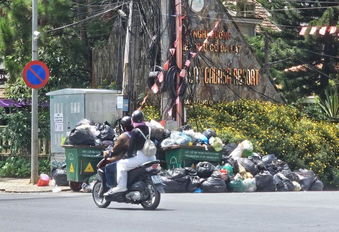  Rác ngay trước khu nghỉ dưỡng trên đường Trần Hưng Đạo, phường Xuân Hương - Đà Lạt 
