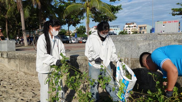 Các tình nguyện viên thu gom rác trên bãi biển. Ảnh: XUÂN QUỲNH