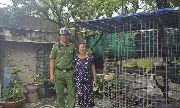 Bà Dương Thị Kim Anh (SN 1956, ngụ ấp Trung Lân) tự nguyện bàn giao con vật gia đình nuôi dưỡng hơn 10 năm cho cơ quan chức năng.