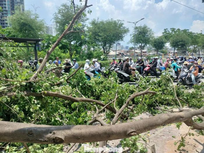 Giao thông qua khu vực bị ùn ứ do sự cố. Ảnh: Đại Dương