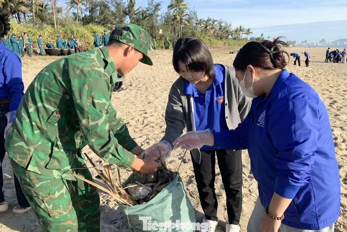 Bên cạnh đó, dịp này, workshop “Bảo vệ động vật hoang dã” cũng được tổ chức ở khu vực Bán đảo Sơn Trà (ngã 3 Lê Văn Lương, phường Sơn Trà), trưng bày ảnh với chủ đề “Tác hại của việc cho khỉ ăn” kết hợp vận động du khách kí giấy cam kết bảo vệ động vật hoang dã, tổ chức các trò chơi tương tác để nâng cao ý thức người dân…