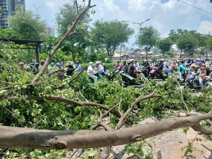 Vụ việc gây cản trở giao thông qua khu vực đường Trần Xuân Soạn. Ảnh: HC