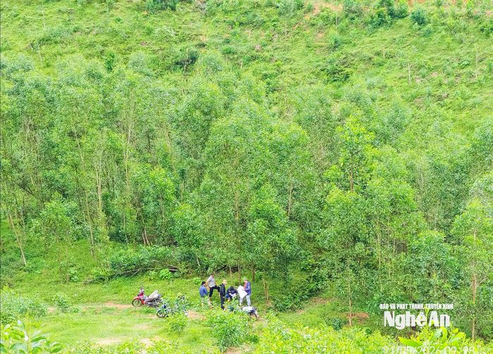Cán bộ, công chức xã Kim Bảng tiến hành đo đạc, kiểm đếm đất lâm nghiệp. Ảnh: Thành Duy