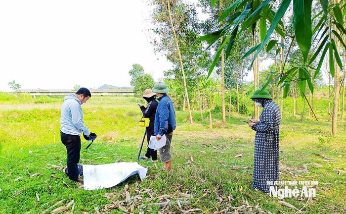 Cán bộ, công chức xã Kim Bảng tiến hành đo đạc, kiểm đếm đất lâm nghiệp. Ảnh: Thành Duy