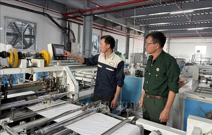Với tư duy kinh tế nhạy bén, dám nghĩ dám làm, cựu chiến binh Trịnh Văn Nghiên ở xã Quỹ Nhất, tỉnh Ninh Bình đã khai thác hiệu quả tiềm năng, thế mạnh, nguồn lao động của địa phương để phát triển kinh tế. Ảnh: Nguyễn Lành/TTXVN