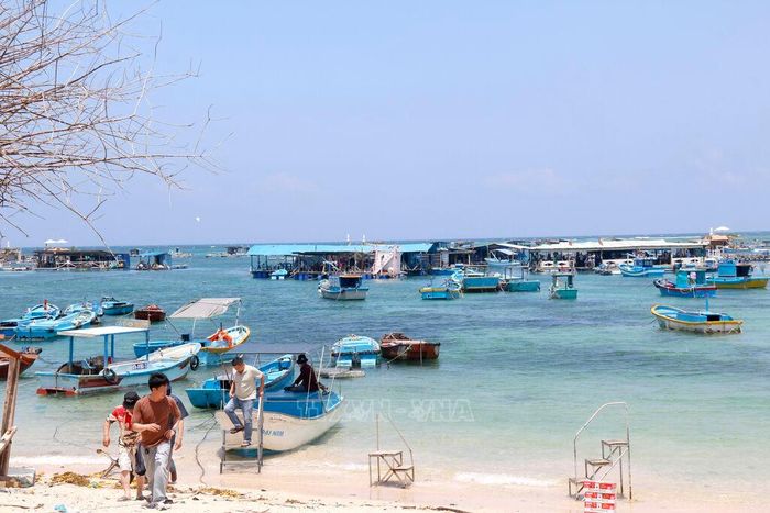 Khu vực khu lồng bè ở đảo Phú Quý phục vụ nhu cầu ăn uống của khách du lịch. Ảnh: Nguyễn Thanh/TTXVN