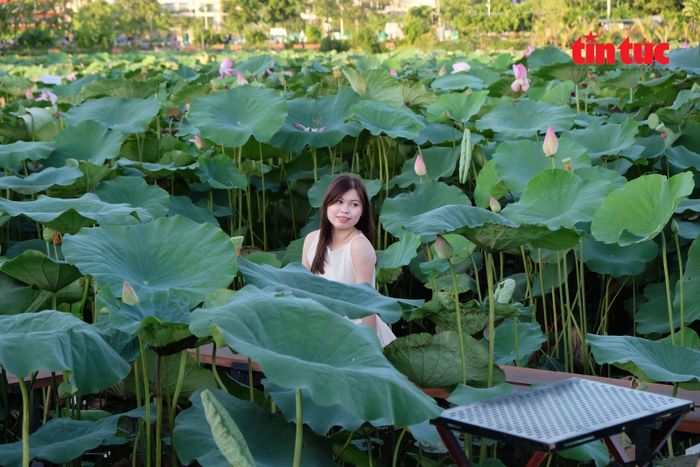 Nhiều người dân chụp ảnh lưu lại vẻ đẹp bên đầm sen.