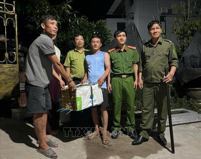 Người dân bàn giao cá thể trăn hoang dã nặng 9kg cho các lực lượng chức năng. Ảnh: TTXVN phát