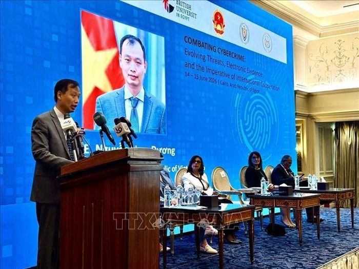 Đại sứ Việt Nam tại Ai Cập Nguyễn Nam Dương phát biểu tại phiên khai mạc hội nghị. Ảnh: Hoàng Nhương/PV TTXVN tại Ai Cập