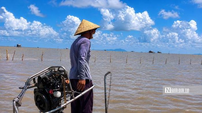 Ngồi trên chiếc vỏ lãi đang chầm chậm xuôi theo dòng nước, anh Bảy Hương (một ngư dân gắn bó lâu năm với nghề cào sò huyết) chia sẻ, thu nhập từ nghề này chưa bao giờ ổn định."Nghề này hên xui lắm. Có ngày kéo vài mẻ là kiếm được cả triệu đồng, nhưng cũng có hôm tiền bán sò không đủ bù chi phí dầu máy. Trước đây sò nhiều, chỉ cào một đoạn ngắn là có thu hoạch, còn bây giờ phải đi xa hơn mà sản lượng ngày càng ít. Dù thu nhập bấp bênh, bà con vẫn bám nghề vì đã quen với sông nước từ nhỏ, còn sức thì còn đi cào sò kiếm sống".