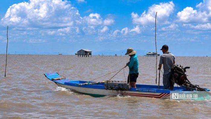 Nghề cào sò huyết đã gắn bó với ngư dân làng nổi An Biên suốt hàng chục năm qua. Công cụ hành nghề khá đơn giản nhưng là "cần câu cơm" của nhiều gia đình. Chiếc cào được chế từ sắt tròn, tạo thành hình chữ C dài từ 1,2 - 1,5 m. Phần miệng cào gắn hàng chục thanh sắt nhọn như những chiếc răng lược, có nhiệm vụ cắm sâu xuống lớp bùn dưới đáy sông để gom sò huyết vào bên trong.