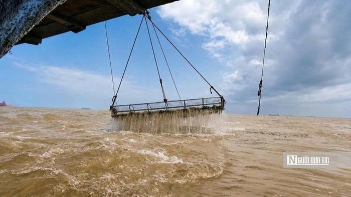 Từ trên vỏ lãi, người thợ khéo léo quăng chiếc cào xuống lòng sông rồi điều khiển máy kéo đi hàng chục mét. Công việc tưởng chừng đơn giản nhưng đòi hỏi nhiều kinh nghiệm để nhận biết khu vực nào có nhiều sò huyết sinh sống.