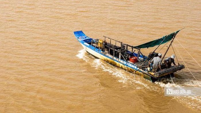 Không chỉ là nghề kiếm sống, cào sò huyết còn là một phần ký ức của cư dân làng nổi An Biên. Nhiều gia đình đã truyền nghề từ thế hệ này sang thế hệ khác. Những đứa trẻ lớn lên cùng tiếng máy ghe, cùng những chuyến theo cha mẹ ra sông từ thuở nhỏ rồi tiếp tục nối nghiệp khi trưởng thành.
