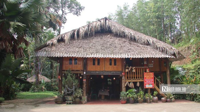 Ngôi nhà sàn của anh Phạm Văn Đại nằm dưới những tán cây phủ bóng mát.