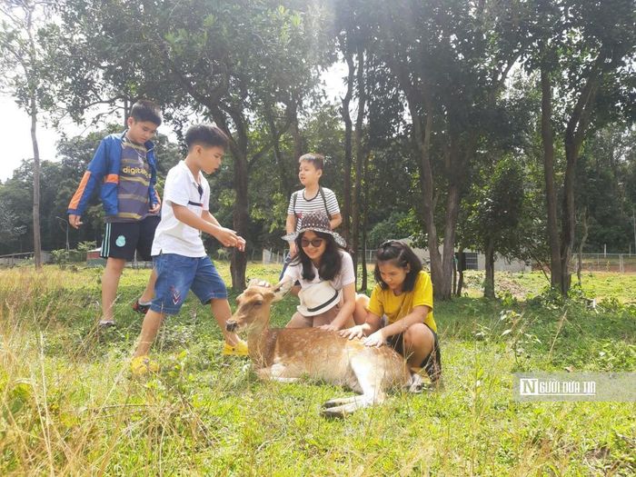 "Lớp học về động vật rừng" là điều mà chị Nguyễn Thảo tâm đắc khi đưa con tới VQG Kon Ka Kinh