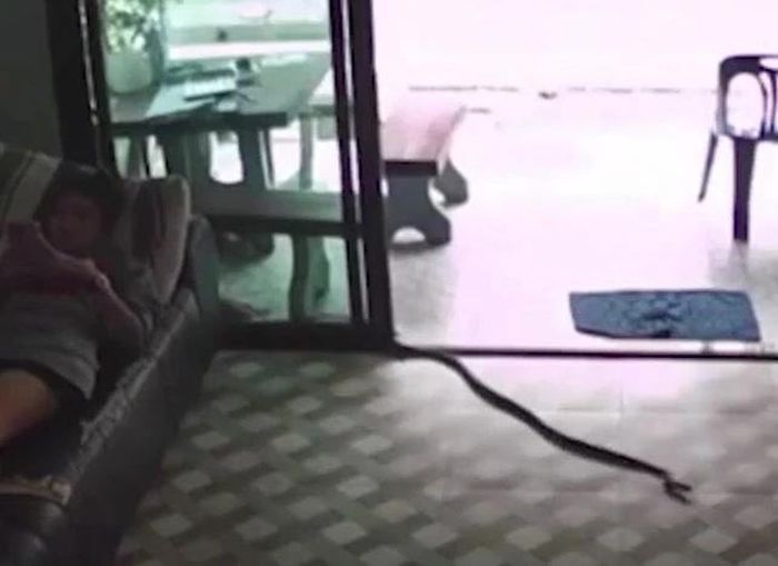 Ảnh cắt từ clip.