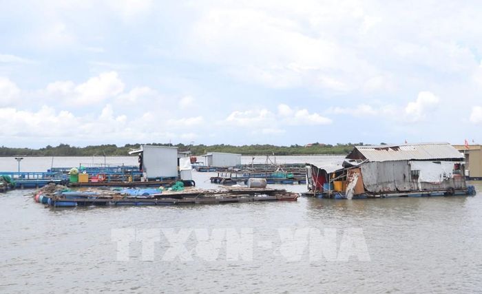 Những lồng bè nuôi cá của ngư dân xung quanh Hòn Đá Bạc. Ảnh: Tuấn Phi – TTXVN