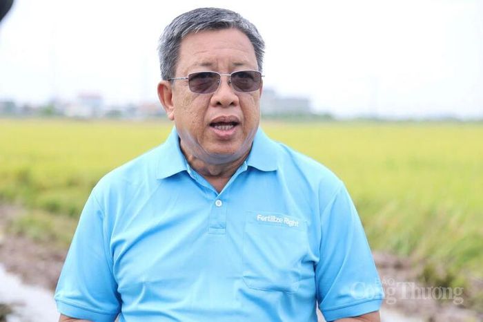 Ông Lê Thanh Tùng, Phó Chủ tịch kiêm Tổng Thư ký Hiệp hội Ngành hàng lúa gạo Việt Nam. Ảnh: N.H