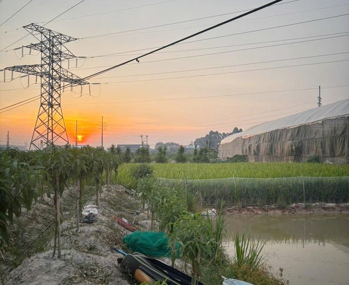 Ao cá nơi xảy ra sự việc nằm ngay dưới đường điện cao thế tại tổ dân phố Núi, phường Bắc Giang.
