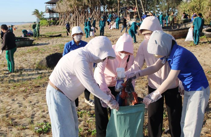 Các đoàn viên tích cực thu gom rác thải tại bãi biển Tân Trà. Ảnh: TRỌNG HUY