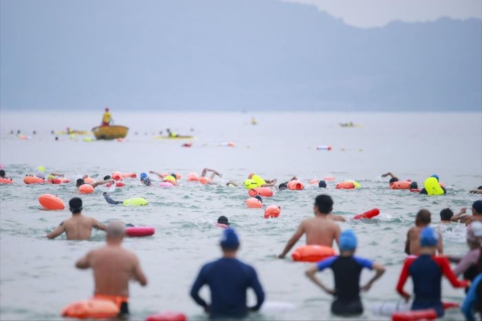 Phong trào bơi biển thu hút nhiều lứa tuổi tham gia. Ảnh: OCEANMAN ĐÀ NẴNG