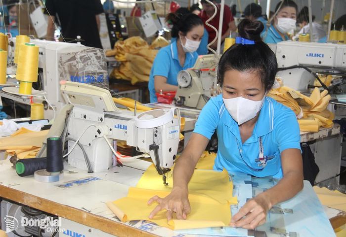 Hoạt động sản xuất hàng dệt may tại một công ty ở Cụm công nghiệp Phú Cường (xã Thống Nhất, thành phố Đồng Nai). Ảnh: Hải Quân