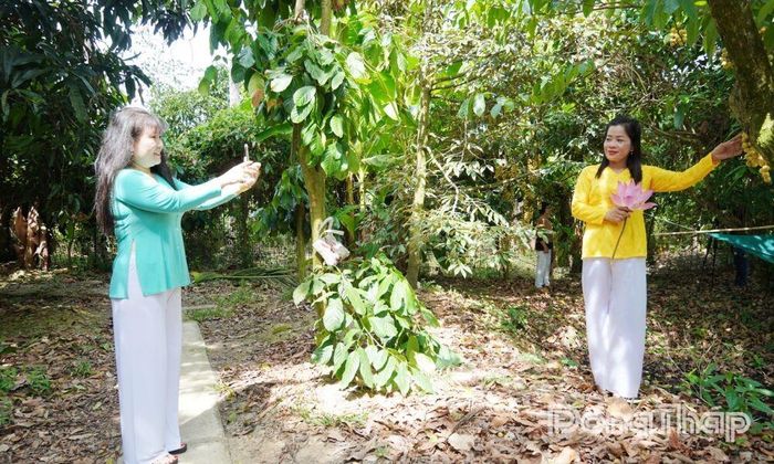 Xã Lai Vung đẩy mạnh nâng cao chất lượng du lịch sinh thái miệt vườn.