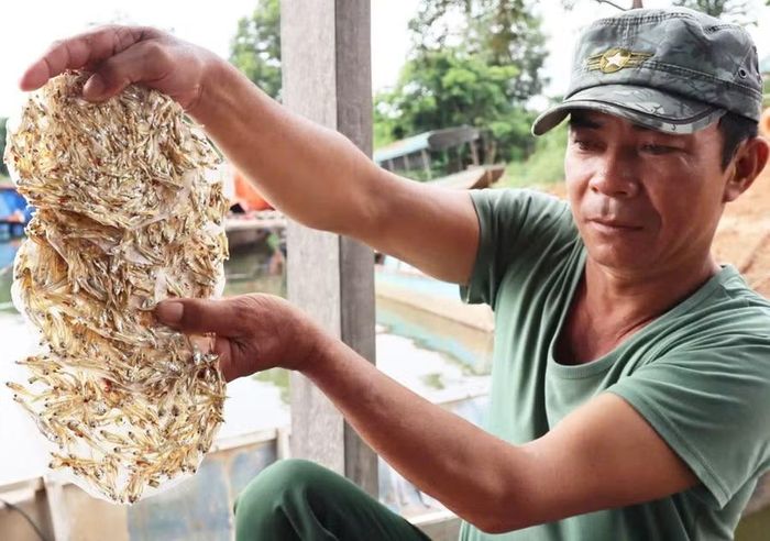 Ông Trương Quốc Khánh bên mẻ bánh tráng cá cơm do chính tay mình làm. Ảnh: L.H