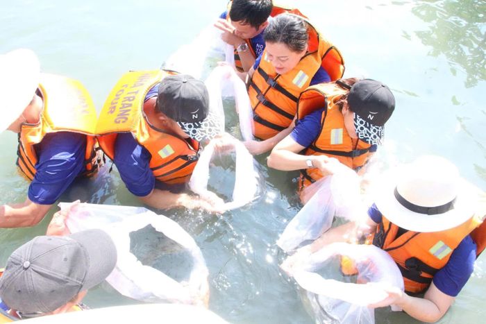 Thả tôm, cá giống tái tạo nguồn lợi thủy sản vịnh Nha Trang.
