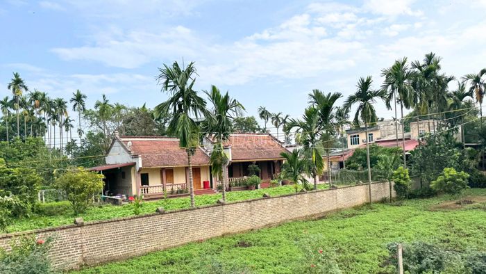 Ngồi trong khoang tàu, nhìn qua khung cửa sổ, mỗi vùng đất đi qua như một thước phim sống động với cánh đồng lúa trải dài, những mái nhà thấp thoáng và nhịp sống yên bình của miền quê. Khung cảnh ấy khiến hành trình trở nên nhẹ nhàng, đưa con người tạm rời xa sự hối hả của cuộc sống thường nhật.