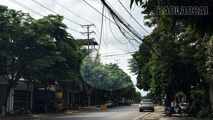 Nhiều sợi cáp bị đứt treo giữa đường như "cái bẫy".
