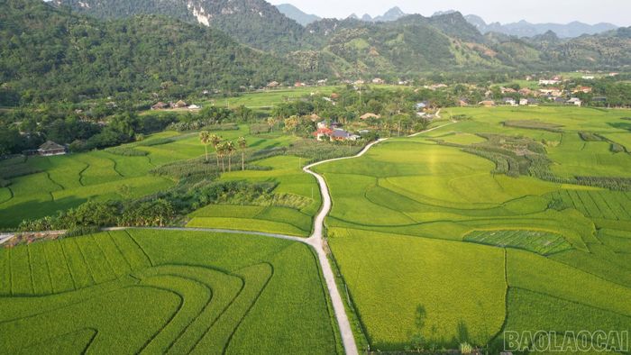 Khu vực canh tác đan xen khu dân cư được kết nối bởi hệ thống giao thông nội đồng cứng hóa. Năng suất lúa toàn xã dự kiến đạt gần 55 tạ/ha, đóng góp đáng kể vào an ninh lương thực tại chỗ.