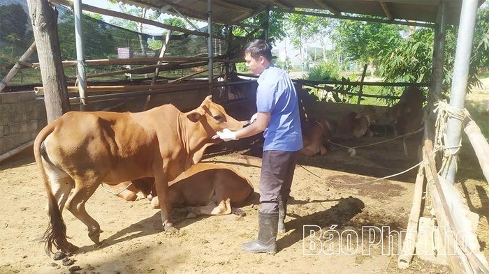 Các hộ chăn nuôi ở xã Lai Đồng chủ động tiêm phòng các loại vắc xin cho đàn vật nuôi.