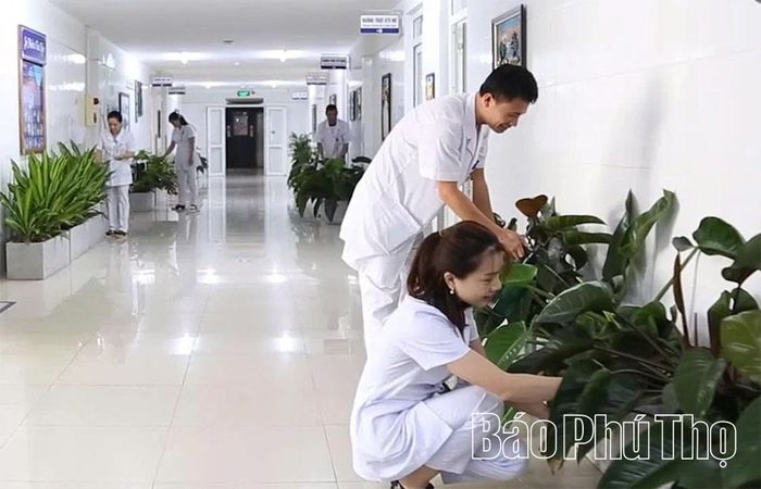 Nhân viên y tế chăm sóc cây xanh sau những giờ làm việc căng thẳng, trở thành “đại sứ” trong việc bảo vệ môi trường bệnh viện.