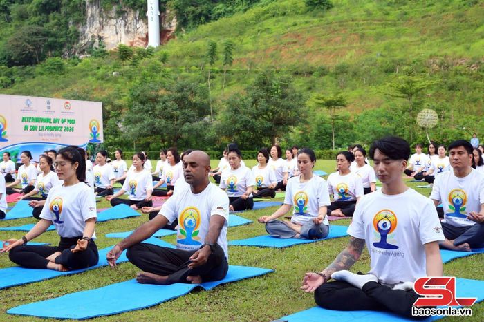 Các thành viên thực hiện động tác thiền trong Yoga.